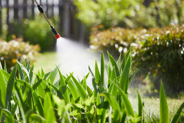 Hogyan védenek a gombaölő spray-k a növények betegségei ellen