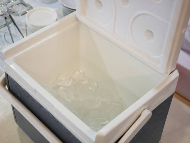 Hogyan tartják frissen az elektromos hűtőtáskák az élelmiszereket útközben