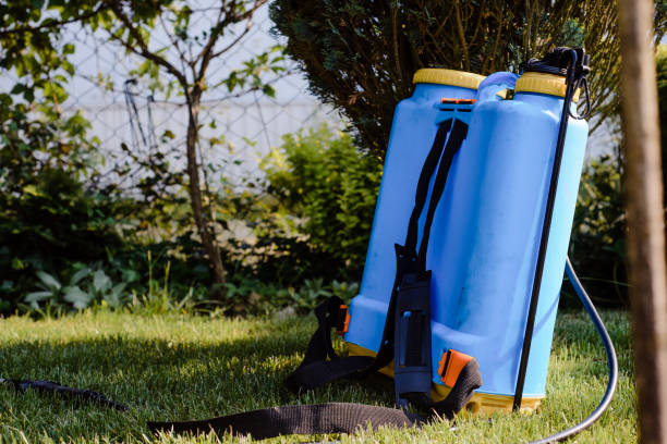 Hogyan Növeli a Hatizsákos Permetező a Kertészeti és Kartévolgyirtás Hatékonyságát?