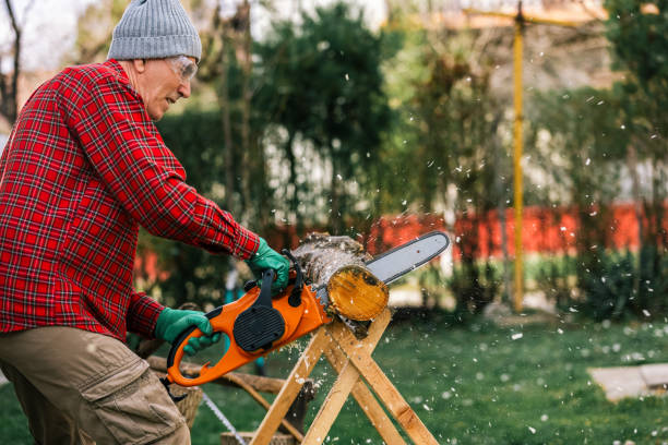 A láncsebesség és a sín hossza szerepe az elektromos láncfűrészekben