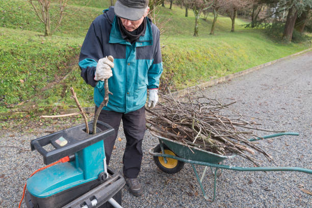 A penge típus és biztonság szerepe az elektromos aprítókban