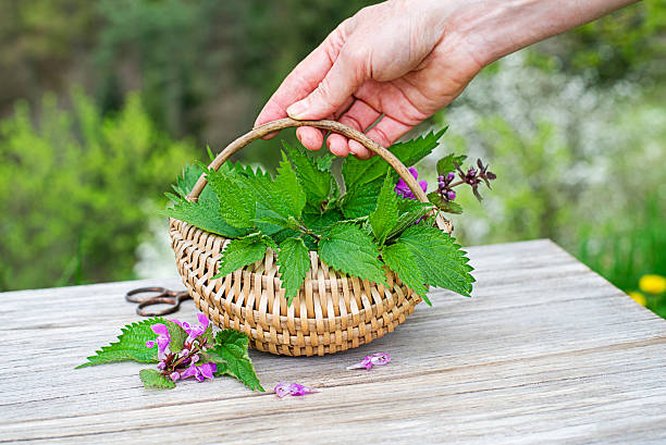 Az Antioxidánsok Szerepe a Detoxikációban