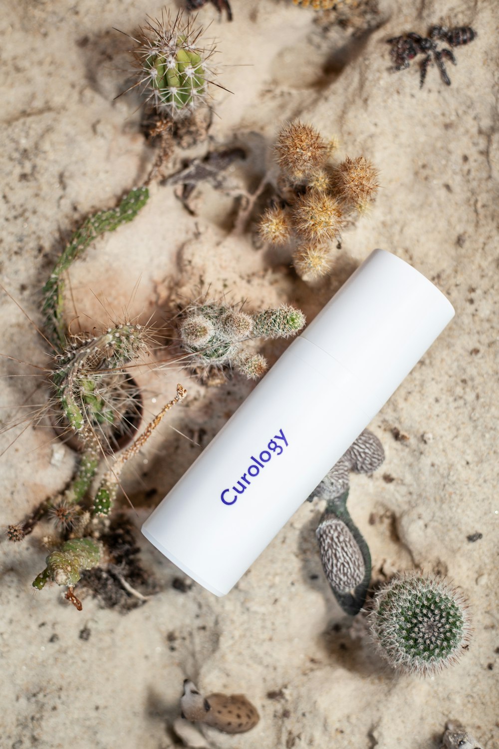 Legjobb ránctalanító krémek - Kiemelt kép