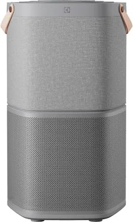 Electrolux légtisztító